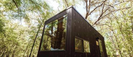 A small, dark-colored cabin with large windows, surrounded by a forest.