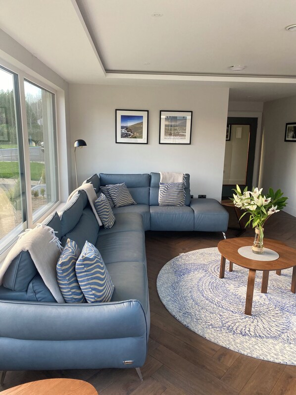 Smart TV, DVD player, books, stereo