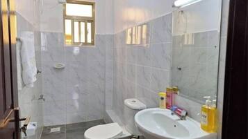 Hair dryer, towels, soap, toilet paper