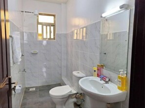Hair dryer, towels, soap, toilet paper