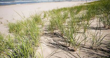 Walk to the Beach from Beachy Farmhouse - Lake Michigan & Hot Tub. Pet-Friendly!