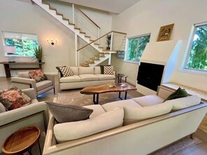 TV connectée, cheminée, lecteur de DVD, livres