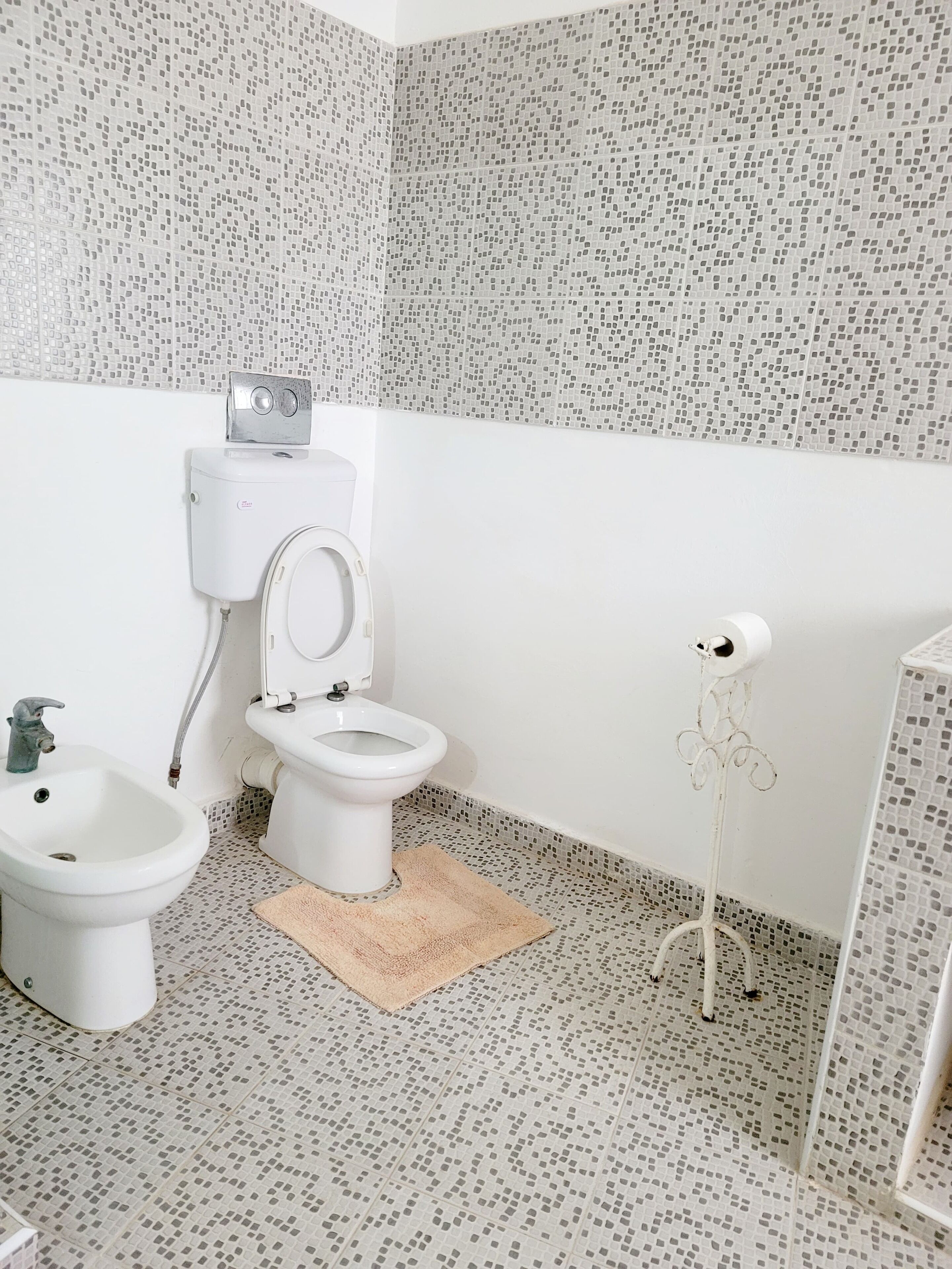 A bathroom with a toilet, bidet, and bidet stand.