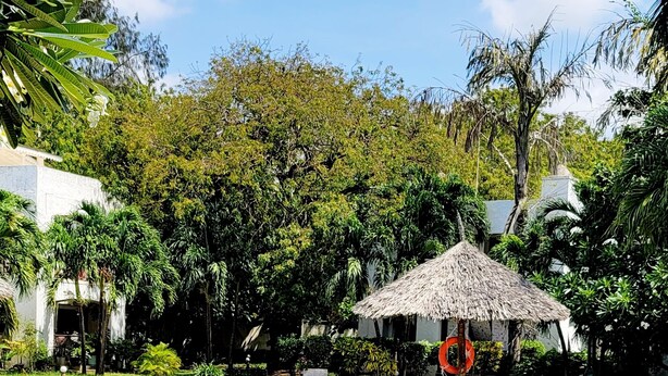 Hồ bơi ngoài trời