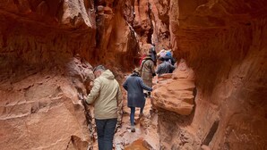 A narrow canyon with red rock walls and a small stream at the bottom.