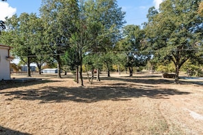 A dry, grassy area with trees and a building in the background.