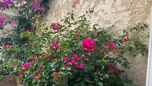 Property grounds - Nice and Cozy for 6 in Pastores Antigua Guatemala, 8 min from downton Antigua  (Pastores)