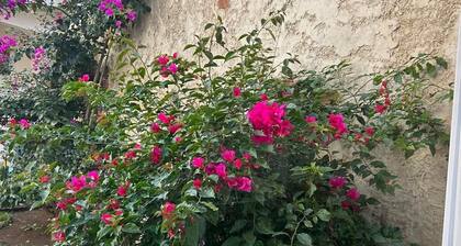 Nice and Cozy for 6 in Pastores Antigua Guatemala, 8 min from downton Antigua