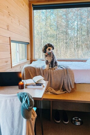 Cabane Standard, 1 grand lit | 1 chambre, bureau, espace de travail pour ordinateur portable