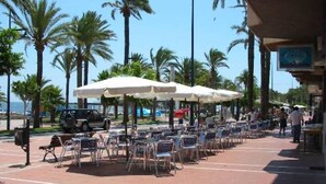 An outdoor seating area with tables and chairs under umbrellas, palm trees, and a view of the ocean. - Immaculate and Spacious Playa Flamenca Townhouse LONG TERM REDUCED RENTAL RATES (VC)