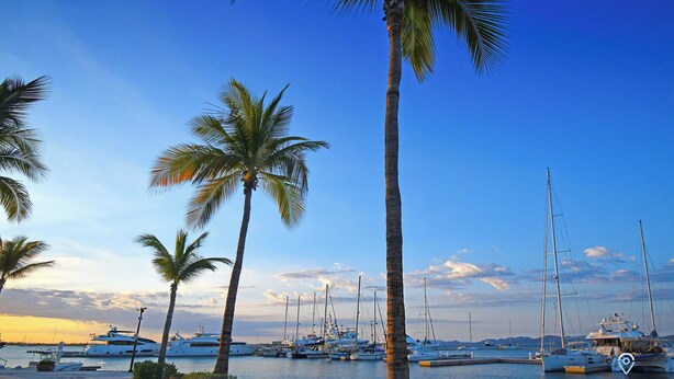 A marina with several yachts docked, palm trees, and a clear sky. - Colorful Zen APTs 2 Blocks to the Beach (La Paz)