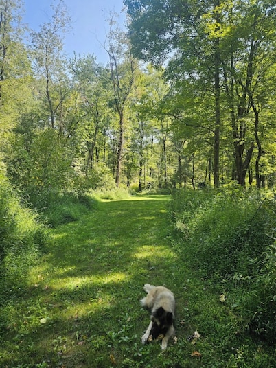 On 25 forested acres of nature!