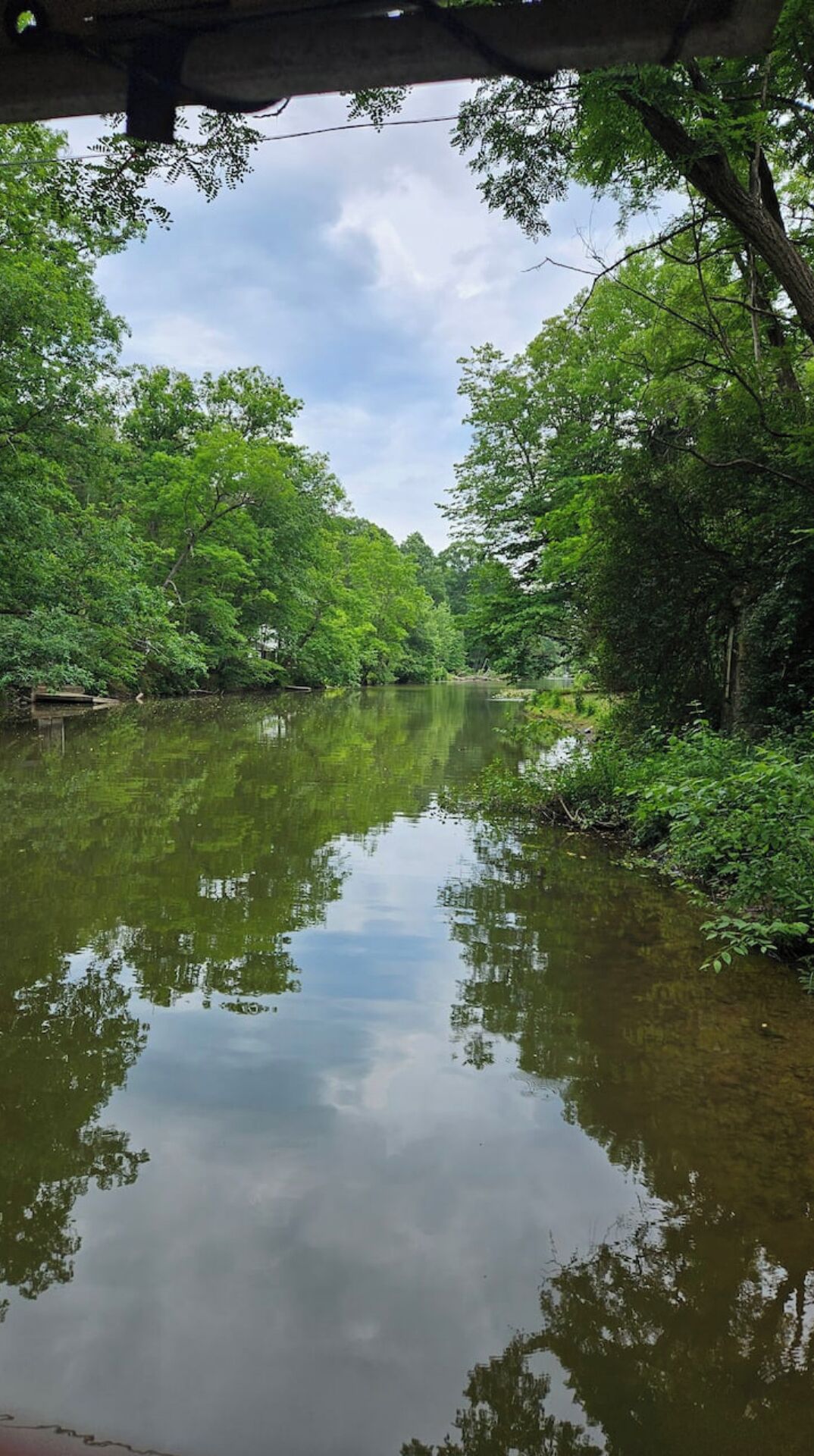 Un río tranquilo rodeado de densa vegetación verde, que refleja el cielo y los árboles.