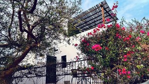 A white building with a black metal fence, a pergola, and pink flowering plants.