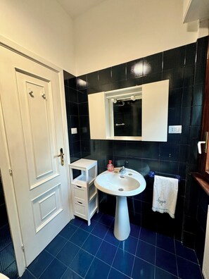 Hair dryer, bidet, towels, soap - Martina's Nest is located in the sought-after Fleming neighborhood. (Roma)