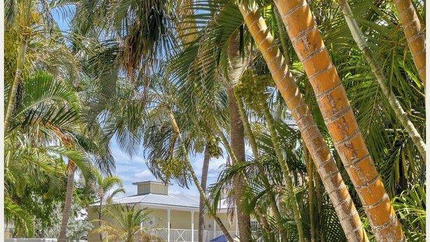 Une entrée fermée par un portail mène à un espace piscine privé, agrémenté de palmiers et avec une piscine en arrière-plan.
