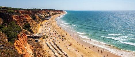 Playa