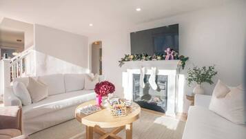 Télévision, cheminée, espaces bureaux