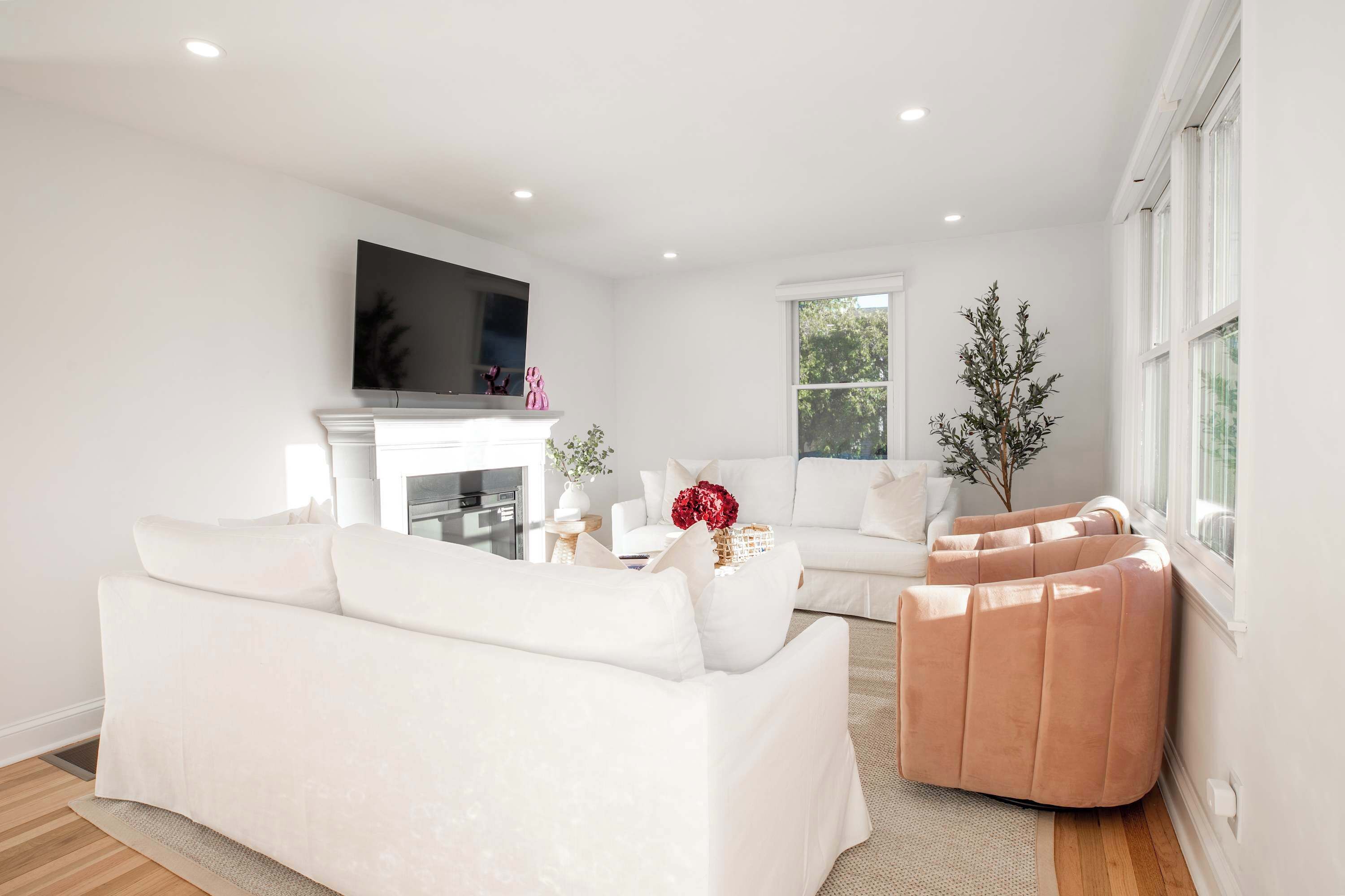 Televisión, chimenea y libros 