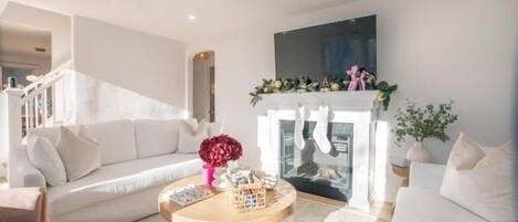 TV, fireplace, books