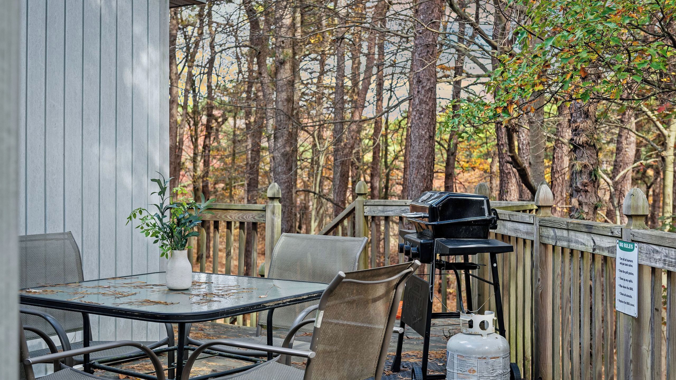 Eine überdachte Terrasse im Freien mit Tisch, Stühlen, einem Grill und einer Gasflasche.