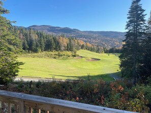 Property grounds - Welcome to Humber House: Luxury Golf Course Retreat (Humber Valley Resprt)