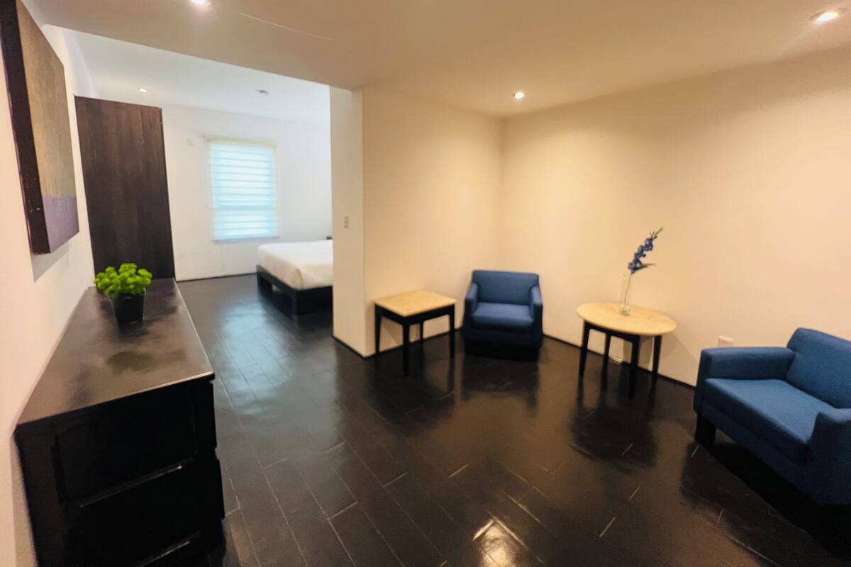Un salon moderne avec un lit, deux canapés bleus, une table basse et une petite table sur laquelle est posée une plante.