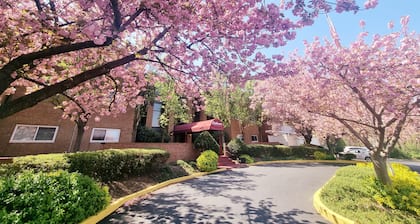 Comfortable 1BR in Elkins Park Parking Pool