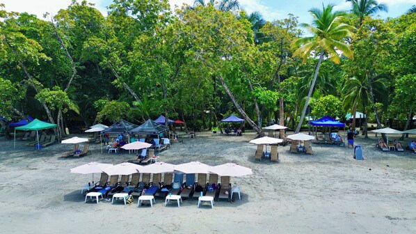 A beachside resort with multiple lounge areas, umbrellas, and palm trees.