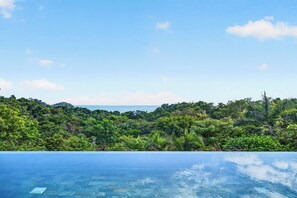 A clear blue infinity pool with a view of dense tropical foliage and a distant body of water.