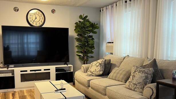 A living room with a flat-screen TV, a sofa, a coffee table, and a plant. - Sherizee Home close to beach and 3 miles to Salem's Haunted happenings (Marblehead)