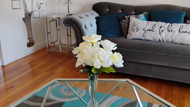 A modern living room with a glass coffee table, a grey sofa with blue cushions, and a decorative wall with leaf patterns. - Charming -Clean-4-bedroom house with AC and WiFi in wonderful Springfield (Springfield)