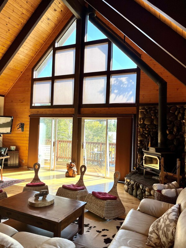 TV, fireplace, foosball, books