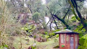 A rustic wooden cabin with a glass door, surrounded by a forested area with a small stream.