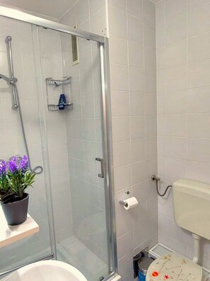 Dusche, Haartrockner, Handtücher