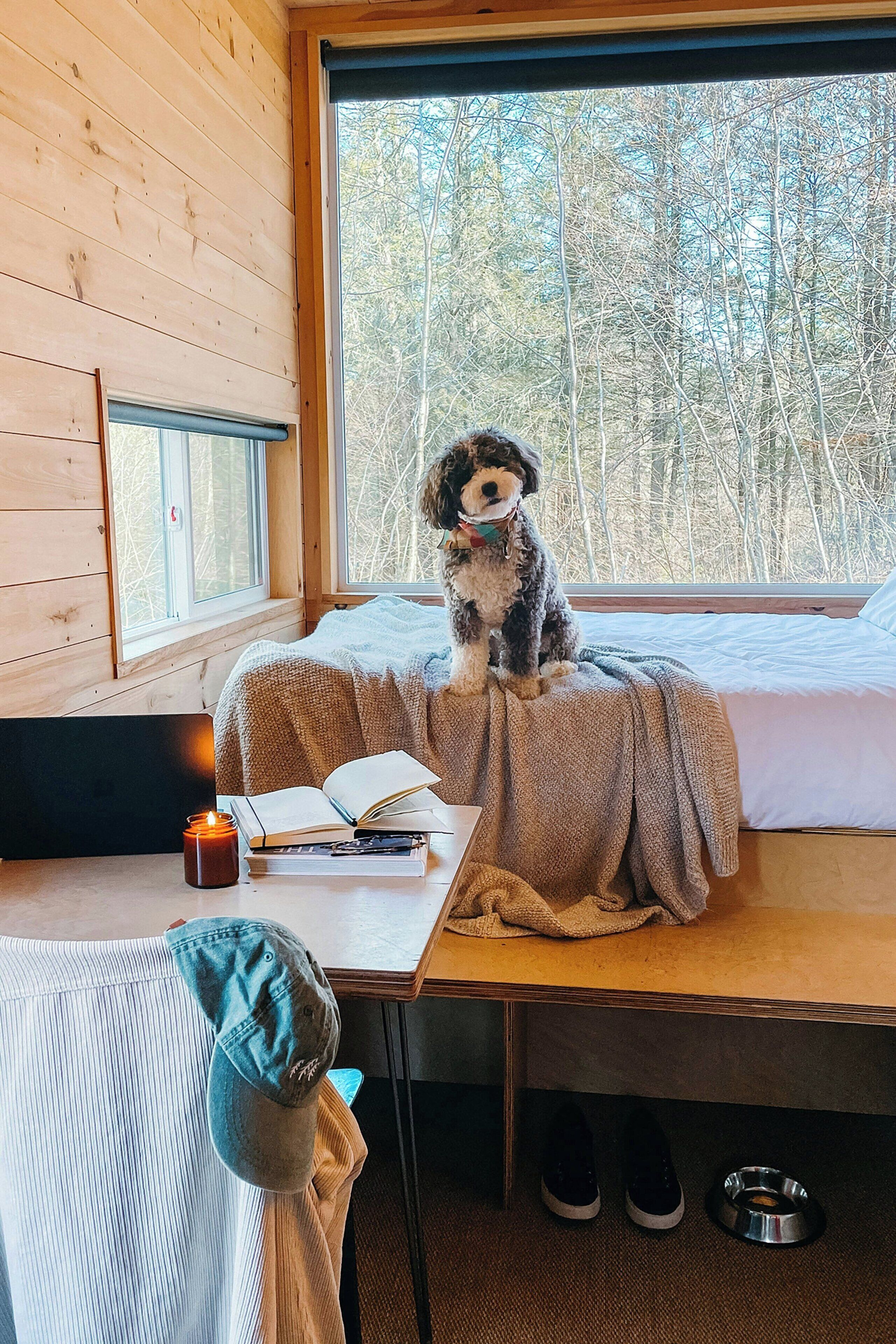 Standard-Ferienhütte, 1 Queen-Bett