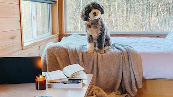 Cabana standard, 1 cama Queen | 1 quarto, escrivaninha, espaço de trabalho para notebook, roupa de cama