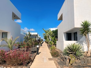Property grounds - Fuerte Calma Luxury Apartment Fuerteventura with Swimming Pool (CN)