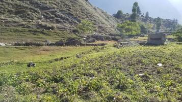 Land view from property