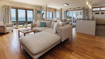 TV, lareira, DVD player, livros