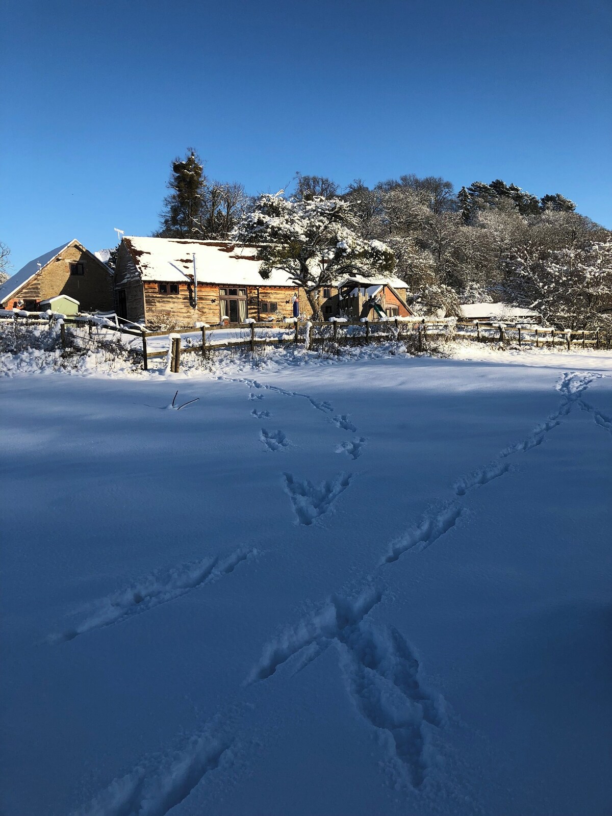 Image de profil de l’hôte