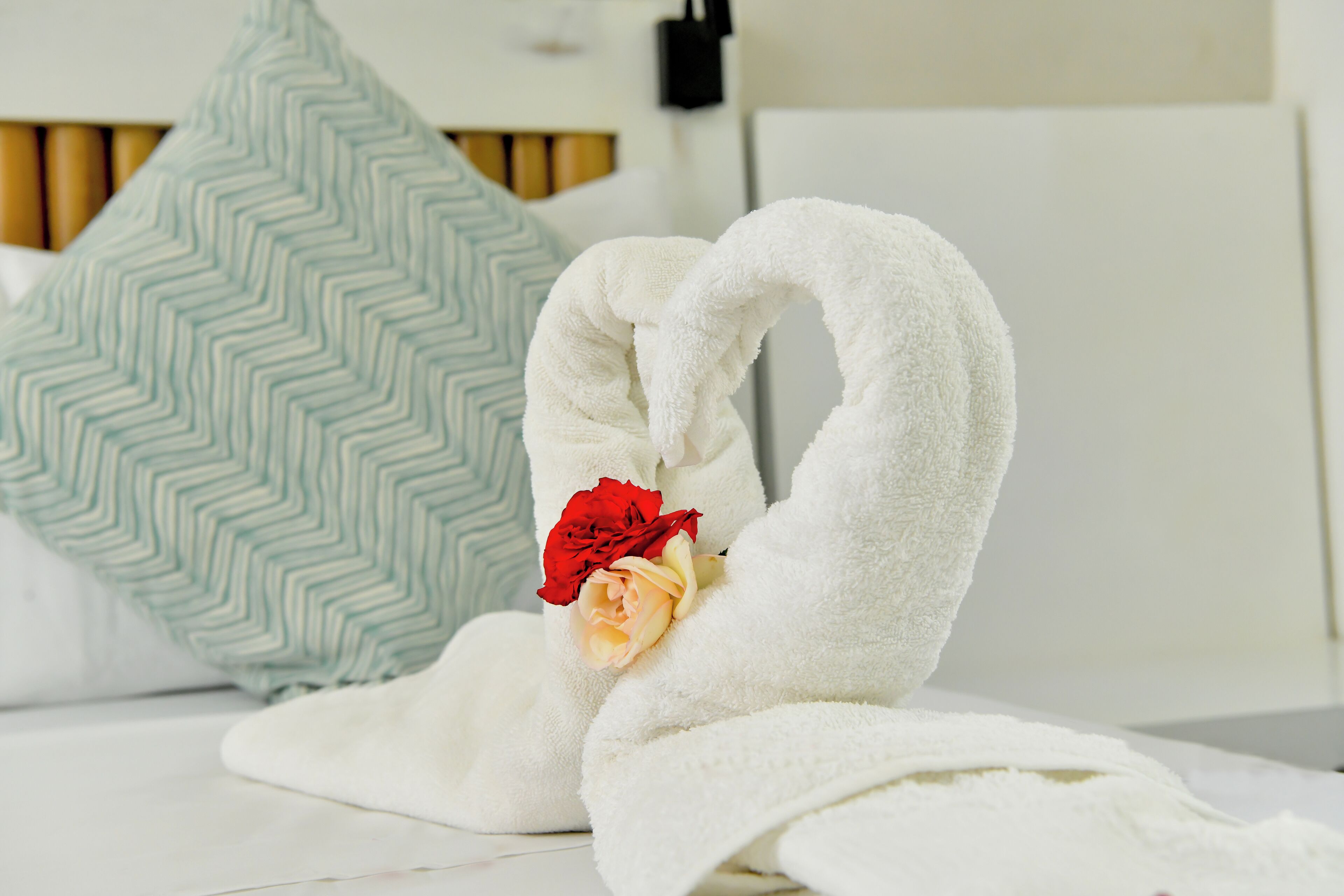 Foto - Honky Tonk Colonial