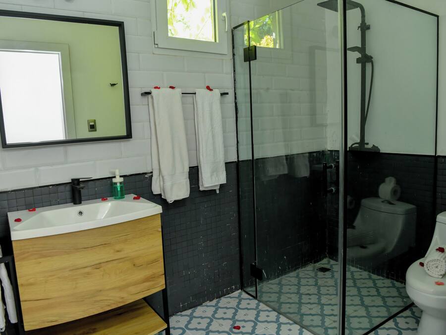 A bathroom with a white sink, a mirror, a glass shower enclosure, and a toilet.