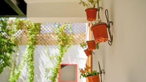 A wall-mounted series of terracotta pots with plants, a white wall, and a wooden door in the background. - Honky Tonk Colonial (Santo Domingo)
