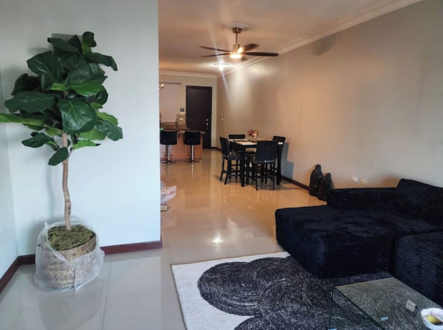 A living room with a black sofa, a coffee table, and a large plant. There is a dining area with a table and chairs in the background.