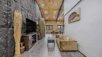 TV connectée, livres