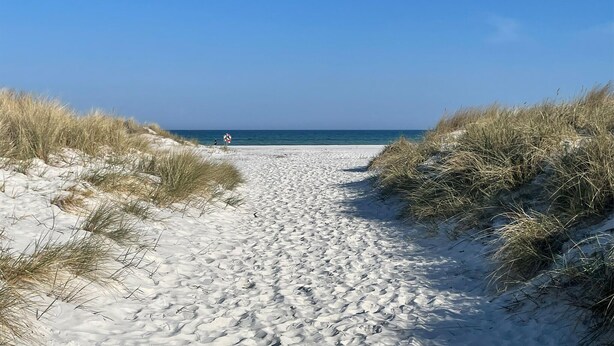 En sti af sand der fører til havet, omgivet af græsklædte klitter.
