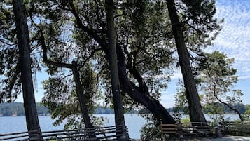 A picnic table in a park with a lake view, surrounded by tall trees.