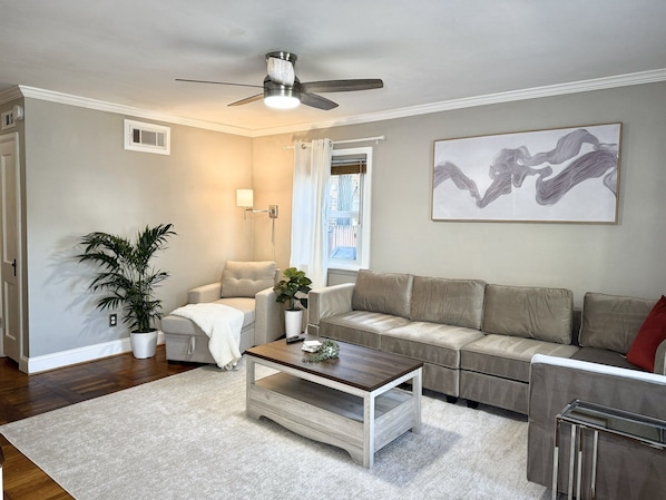 Smart TV, fireplace, books, offices