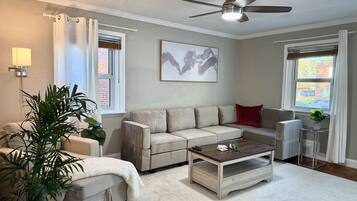 Smart TV, fireplace, books, offices